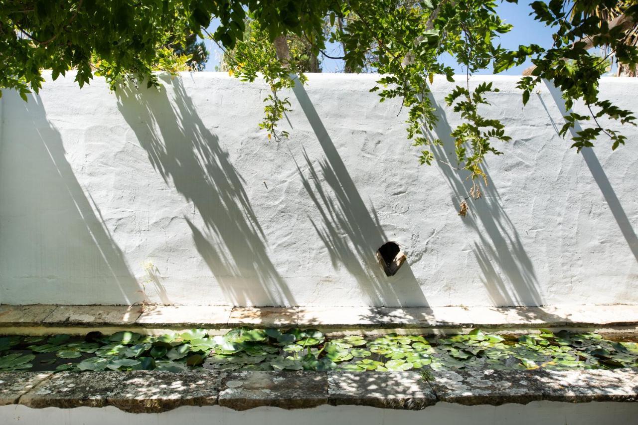 Altanure Quinta Sol D'Agua - Ecological Holiday Villa Tavira Extérieur photo